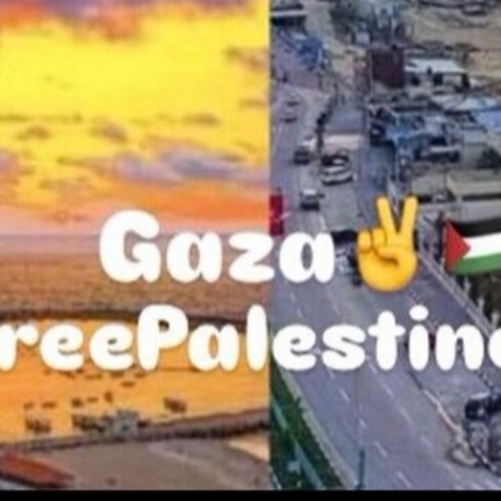 Profile picture gaza28609.bsky.social