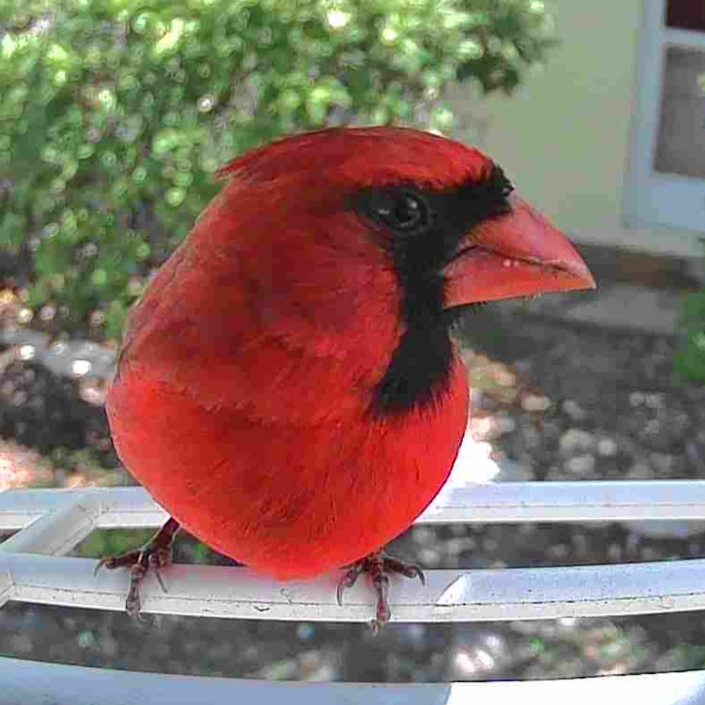 cameramatt71.bsky.social