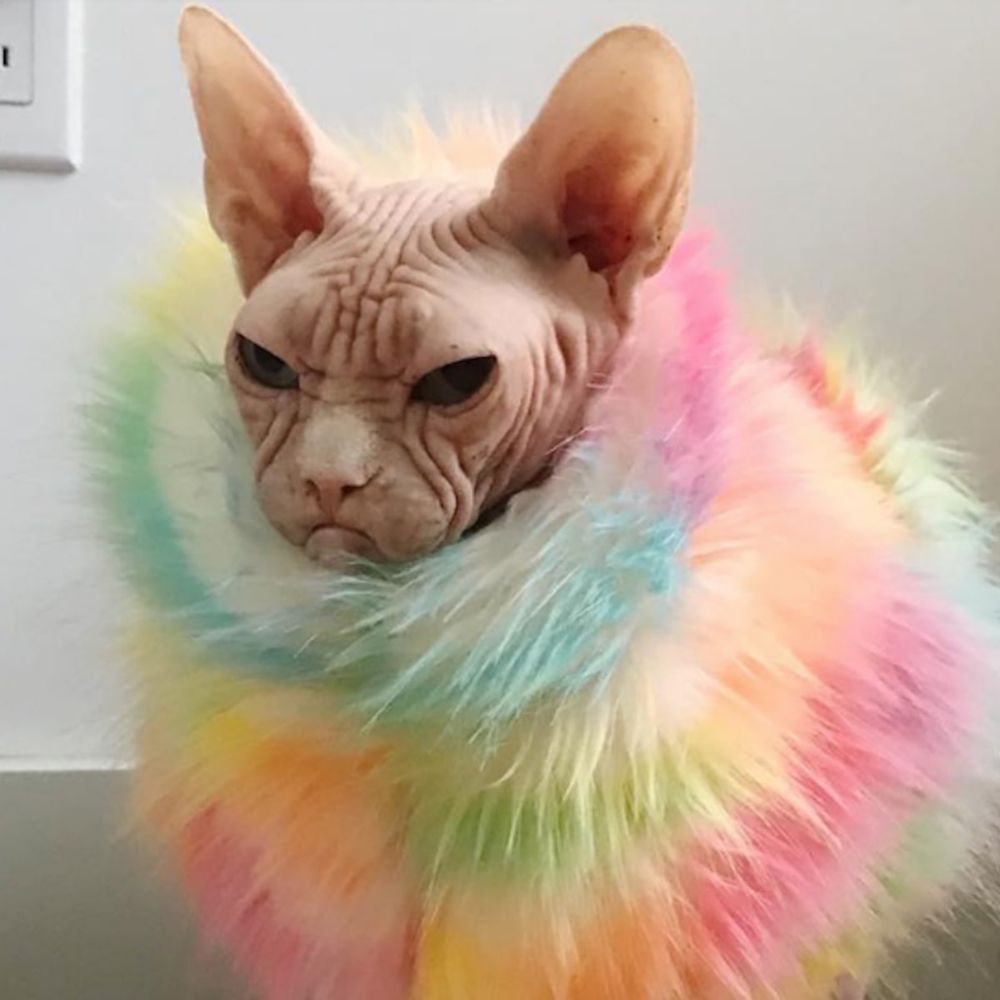 User avatar