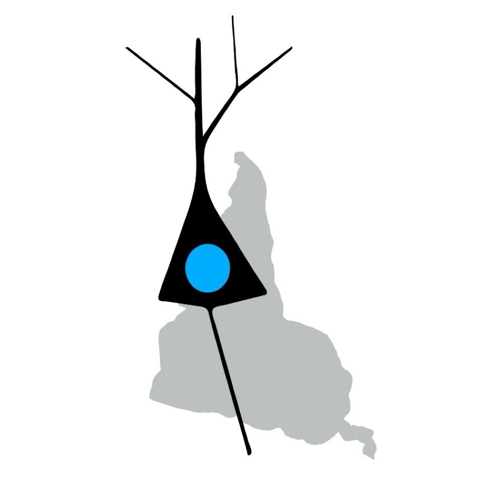Sociedad de Neurociencias del Uruguay