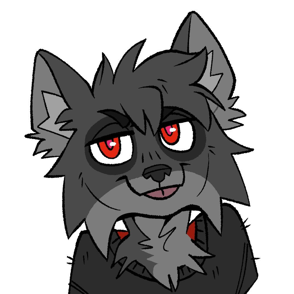 Le raccoon