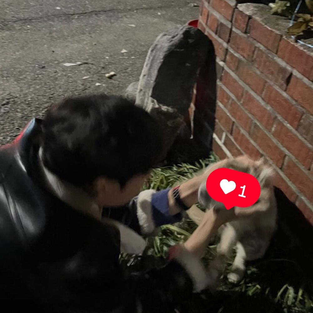 07