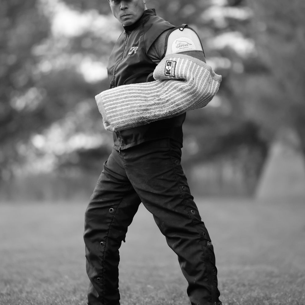 AlphaShepherd
