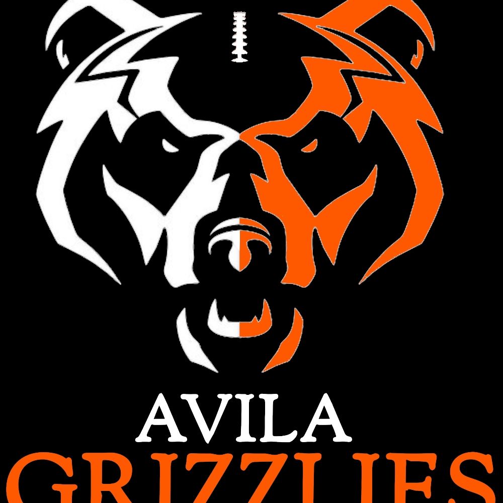 Ávila Grizzlies