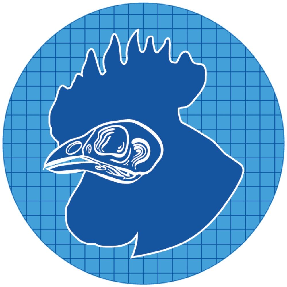 Kwam’s Chicken Project