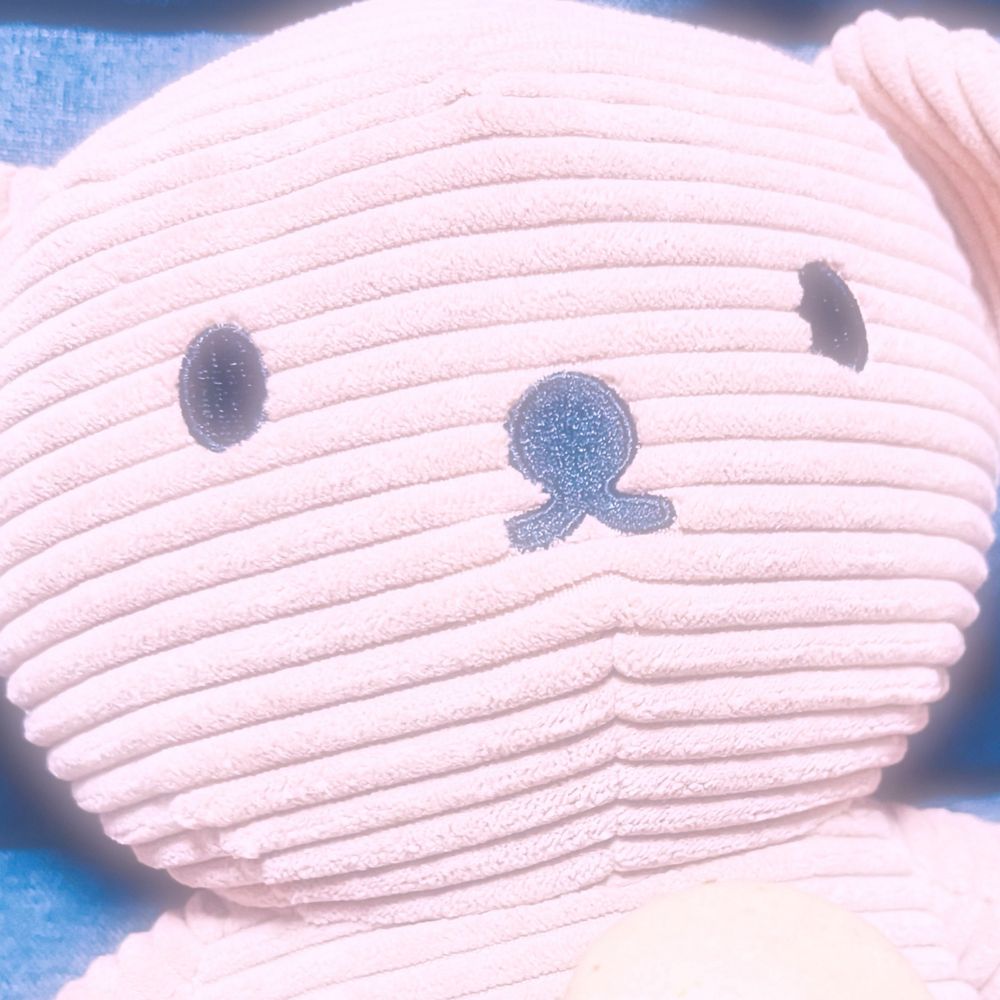 こみ