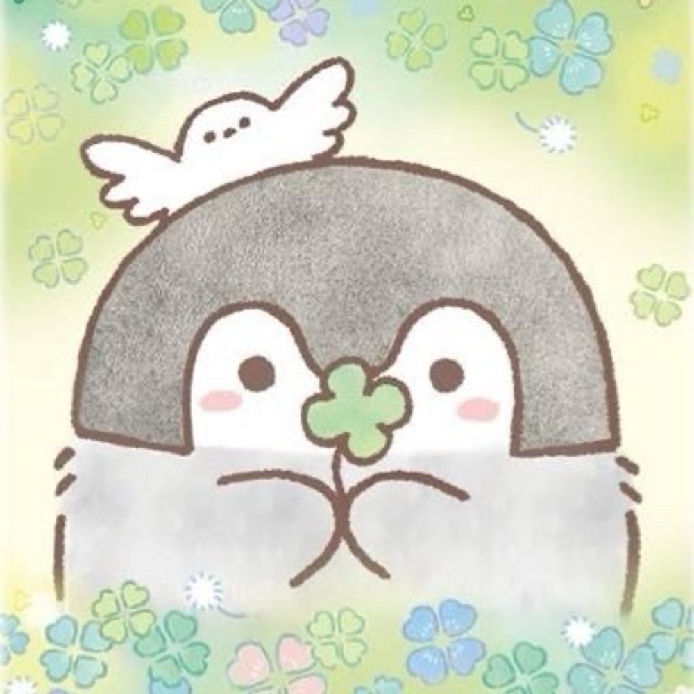 よつば 2y
