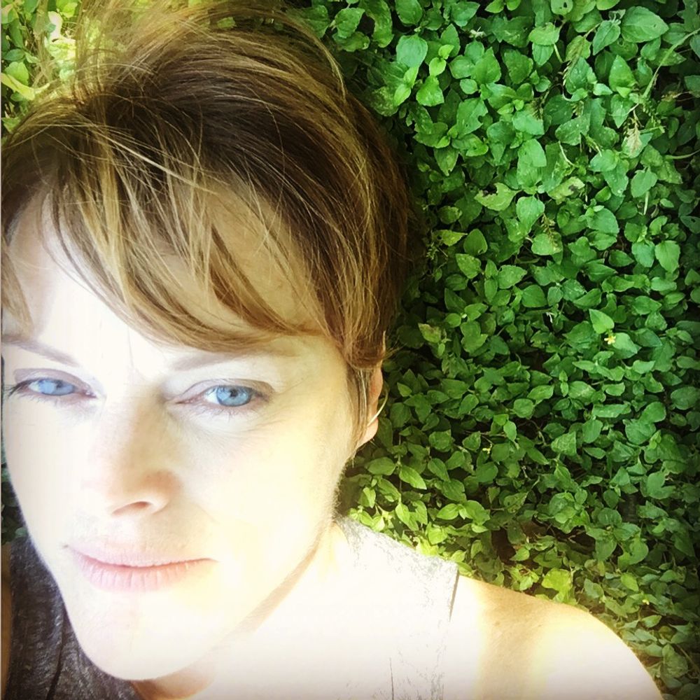 annguidry.bsky.social profile picture