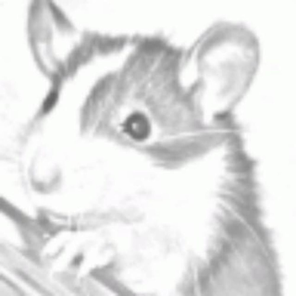 Meta, the rat