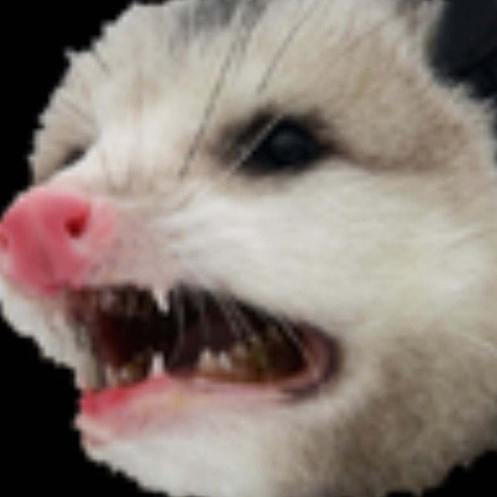 indignantpwsm