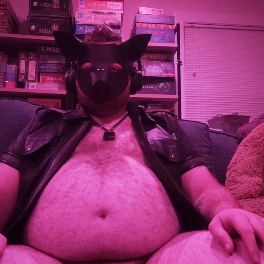 Pup pig bacon