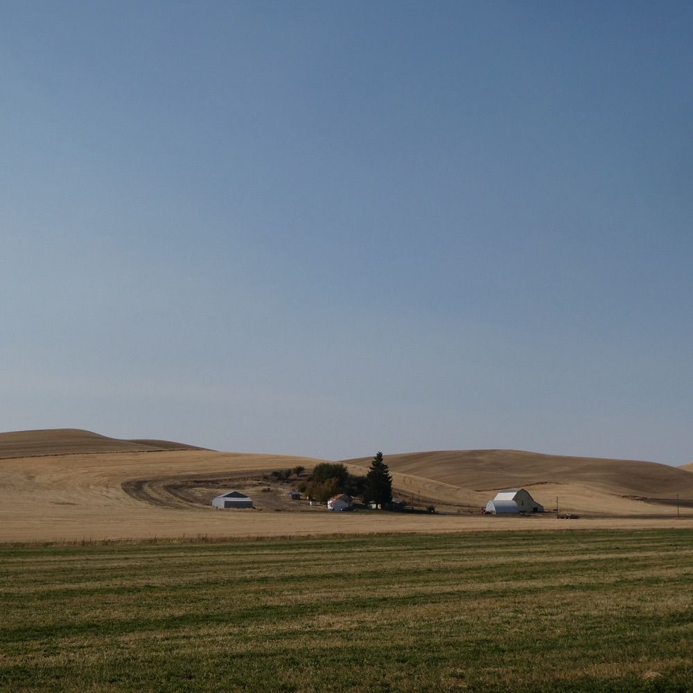 Whitman County, WA – Cascadia Resistance