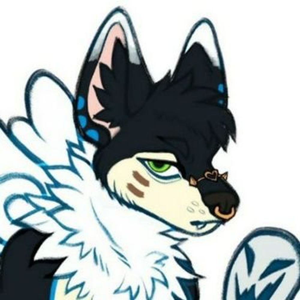 FurretTails