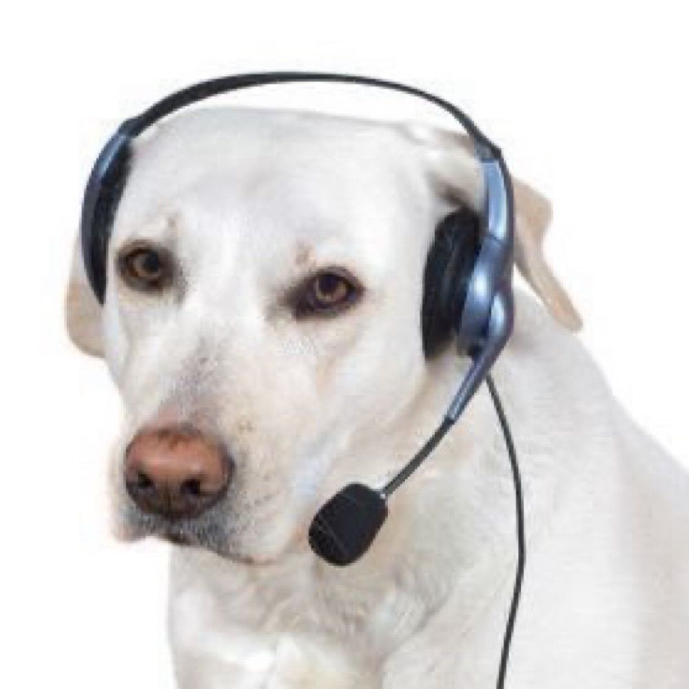 ReplyDog