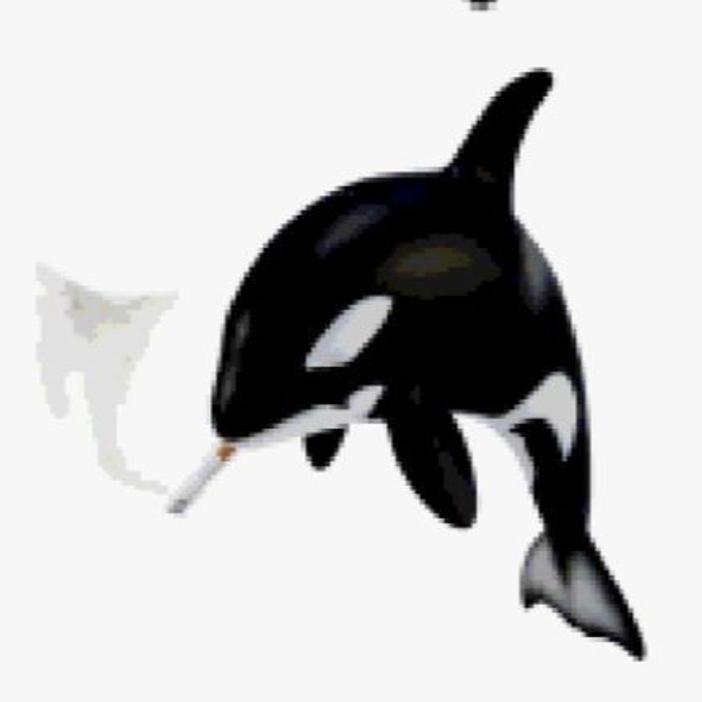 еля 🦈