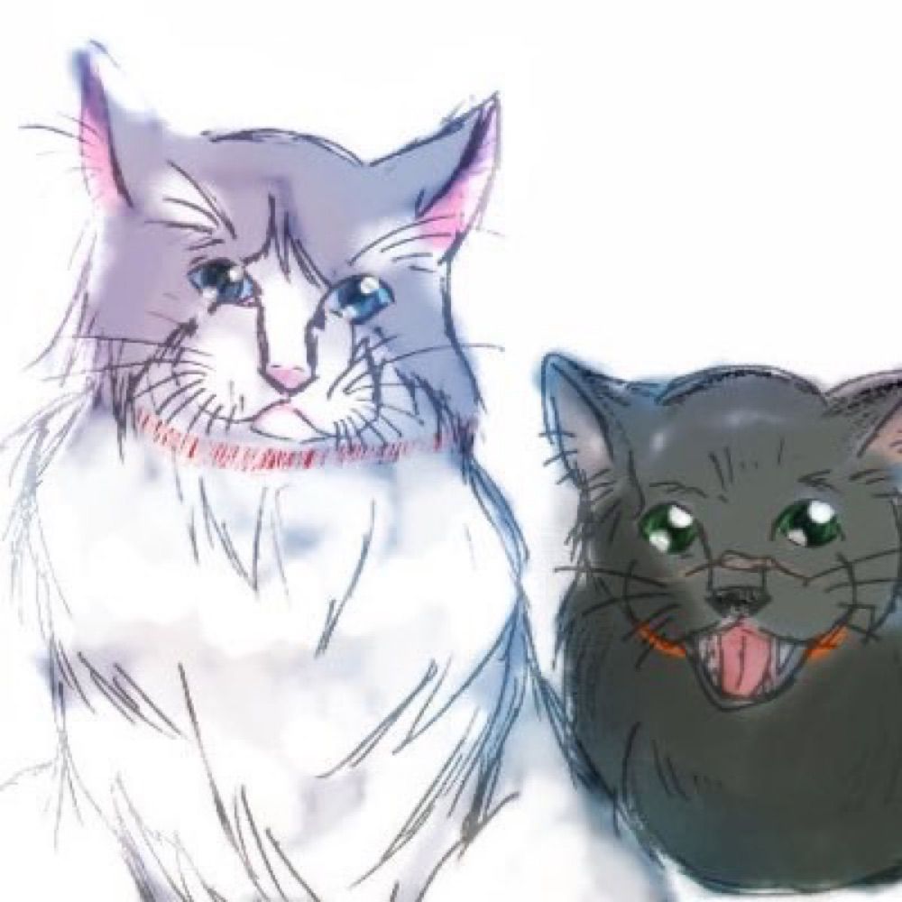 アユム
