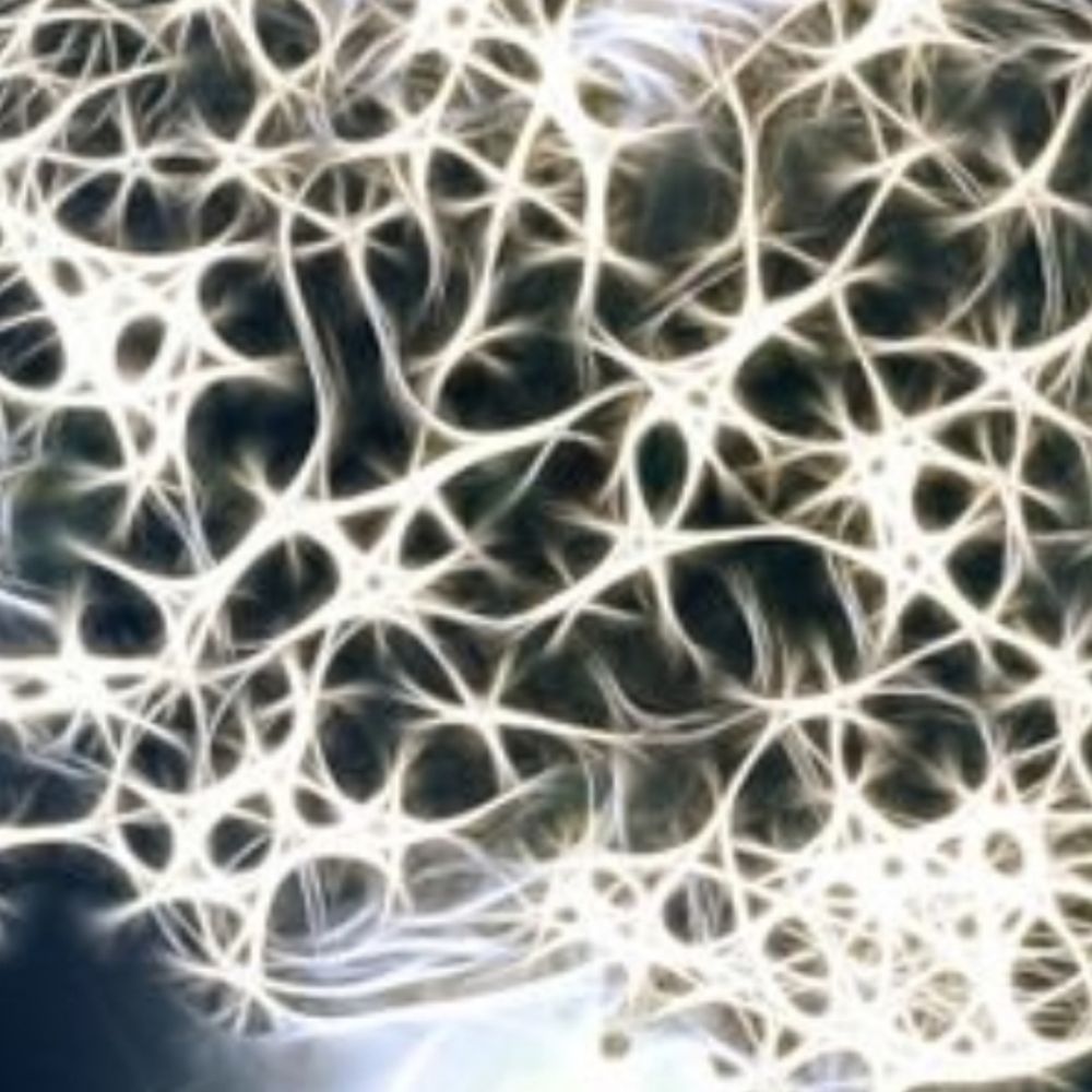 astrocyteNet