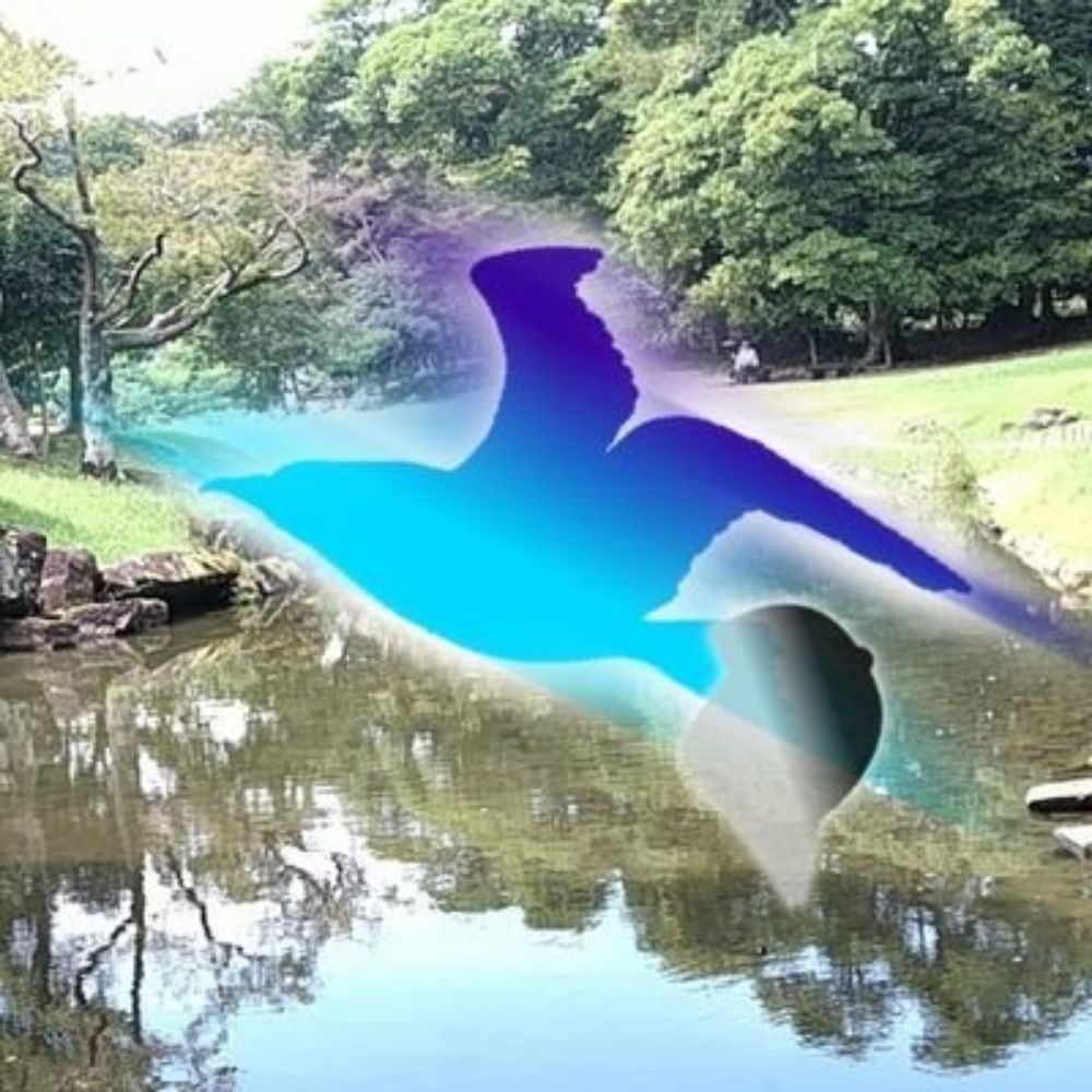 あさぞら