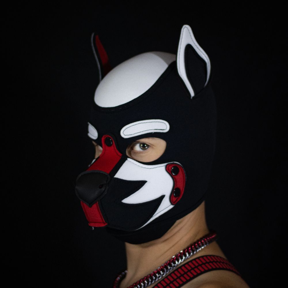 Pup Theo