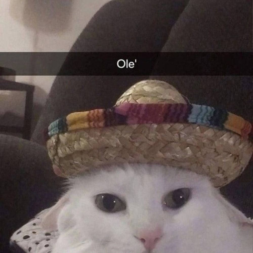 Sávio
