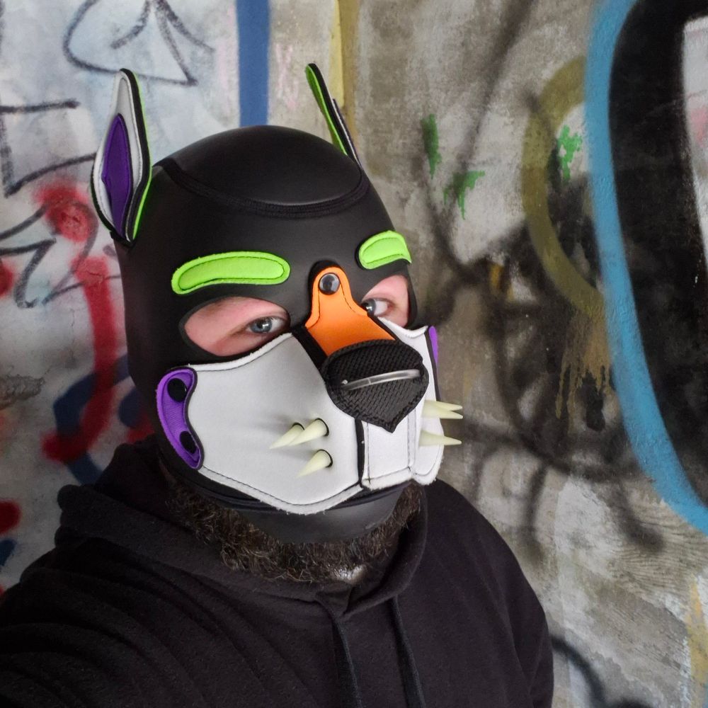 PUP FRACTAL 🔞 🔜 folsom