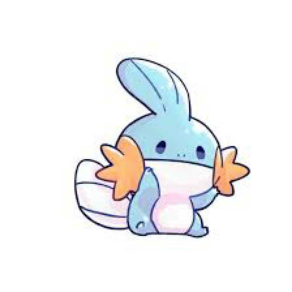Just_a_mudkip