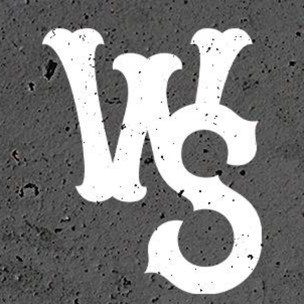 Winston-Salem Dash