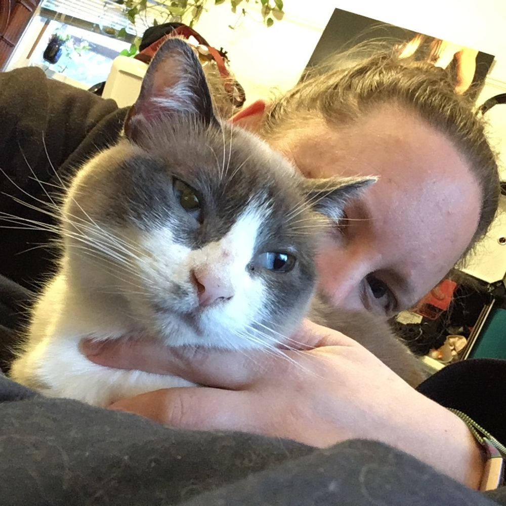 Flitter Kitten