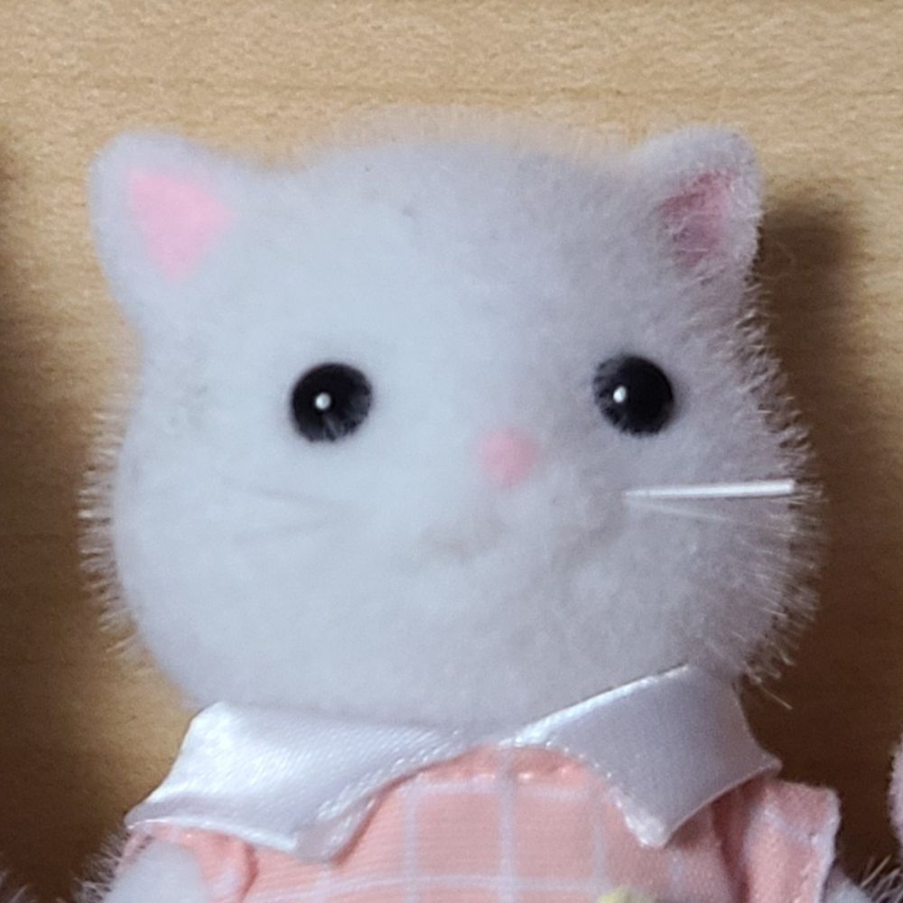 ブルースガイ