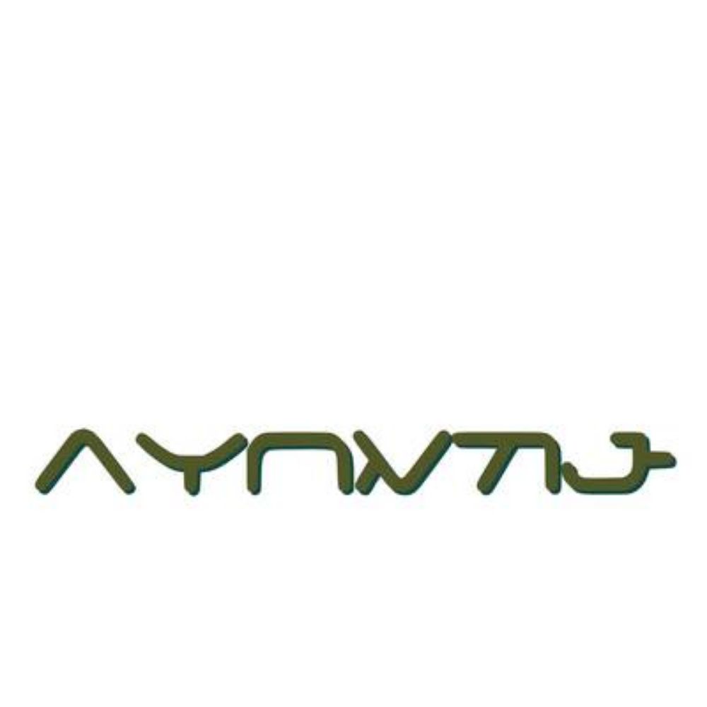 aynuke 一墨