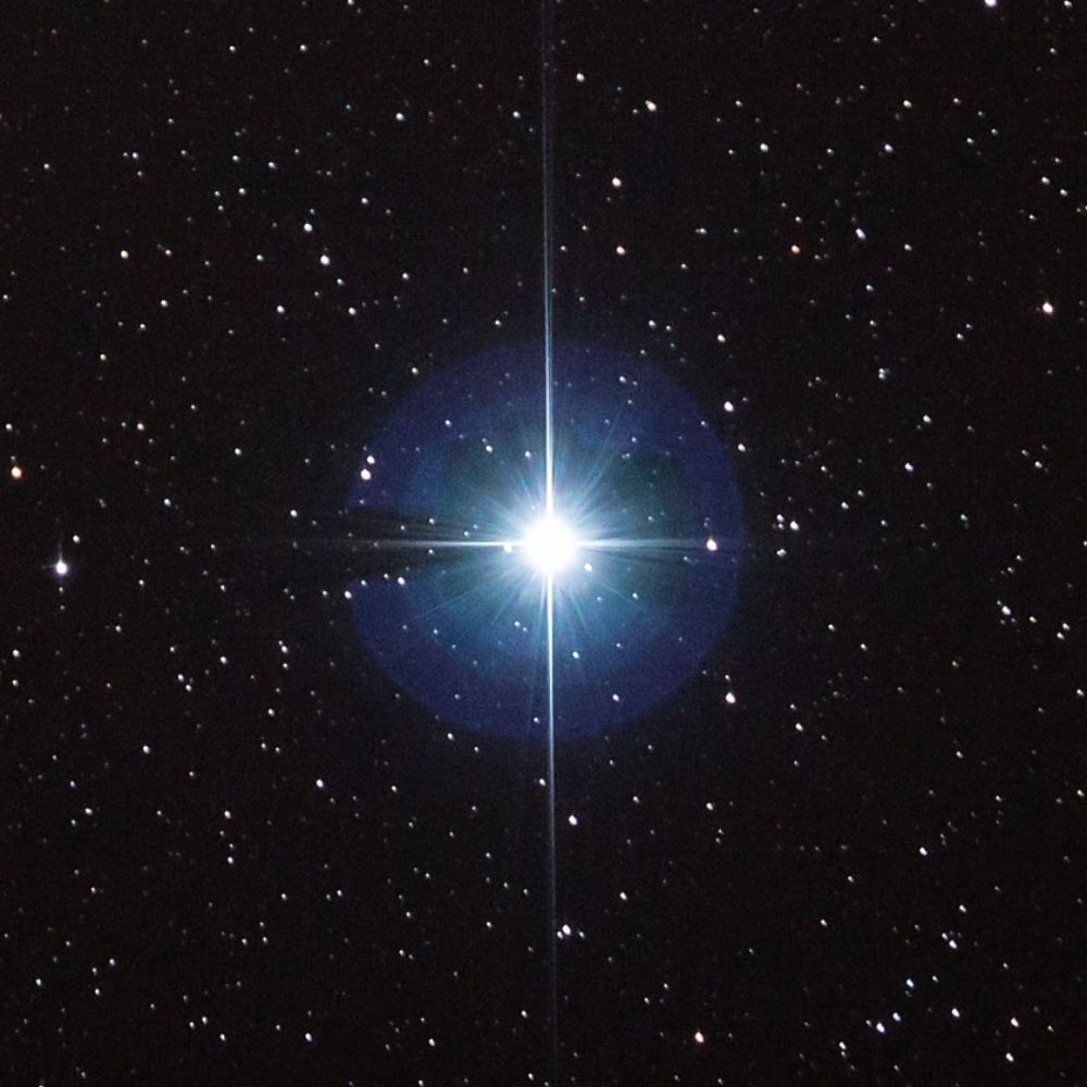 Vega