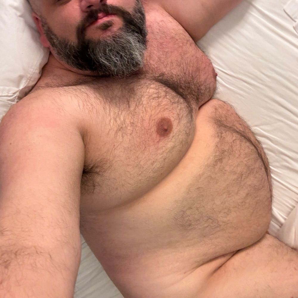 htxbear 🐻
