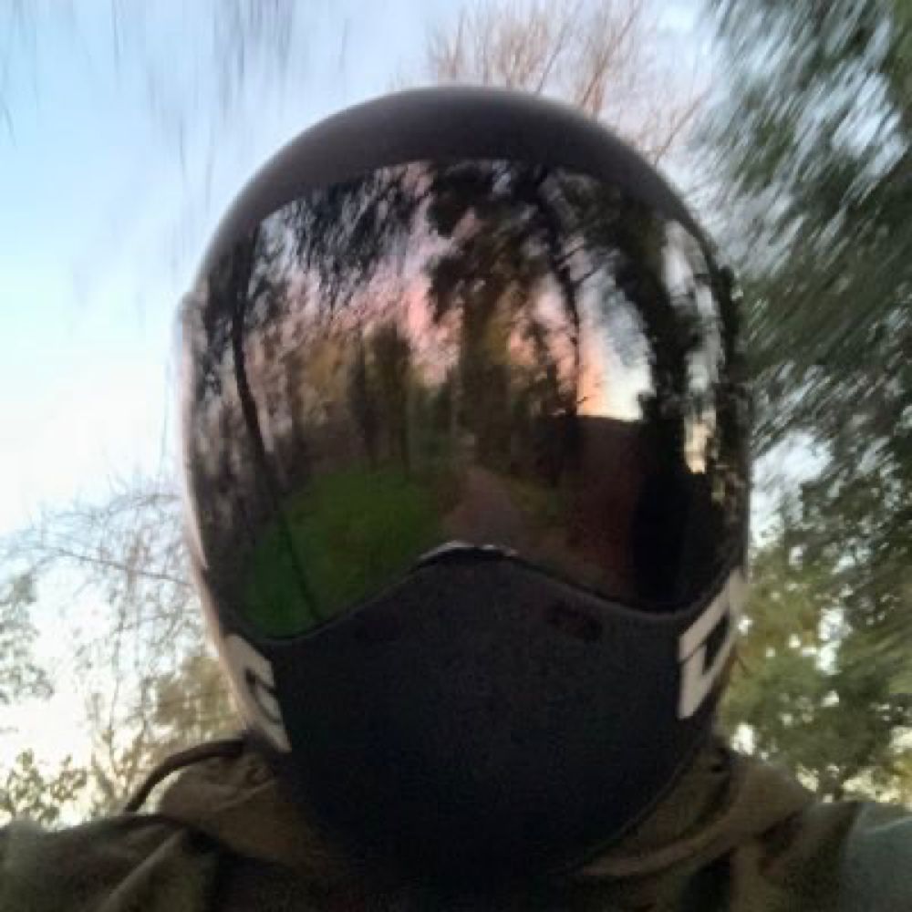 trees aren’t real