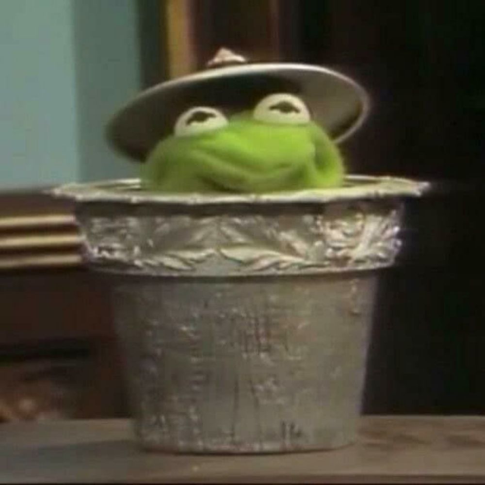 C⭐️