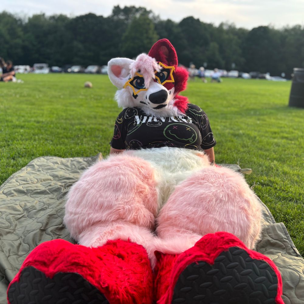 Hayze + Cherry🔜 FurPoc!