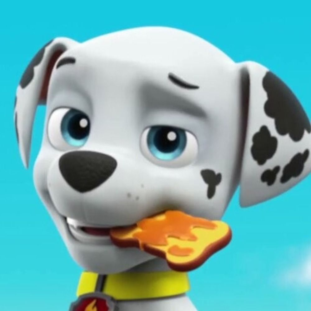 SnowyPawHusky