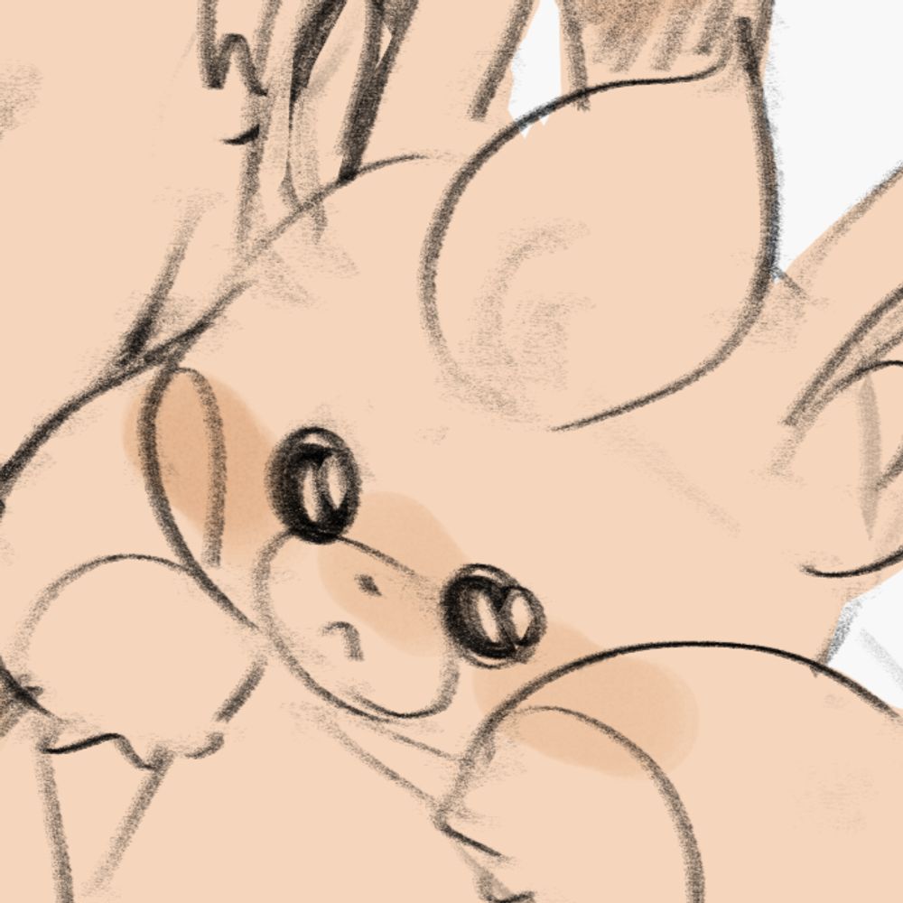 Shin
