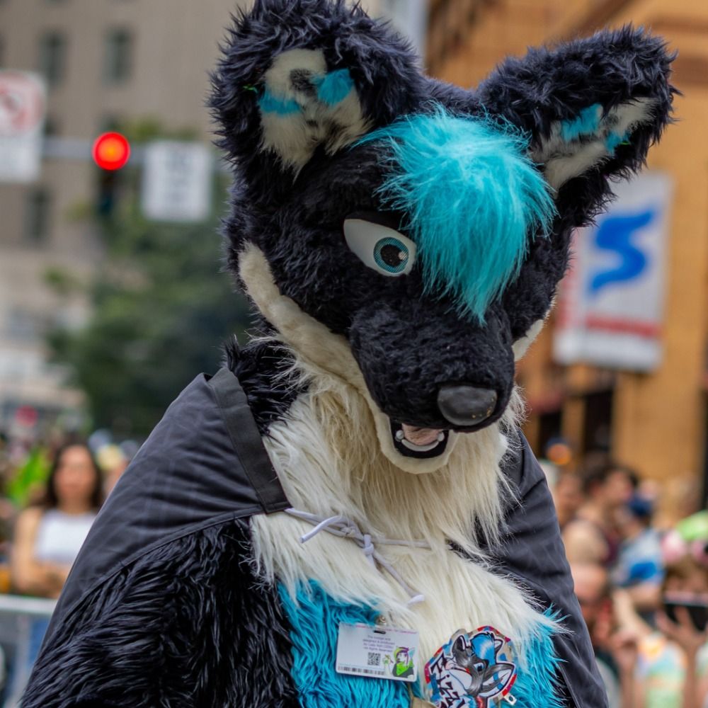 Fizzy Fox