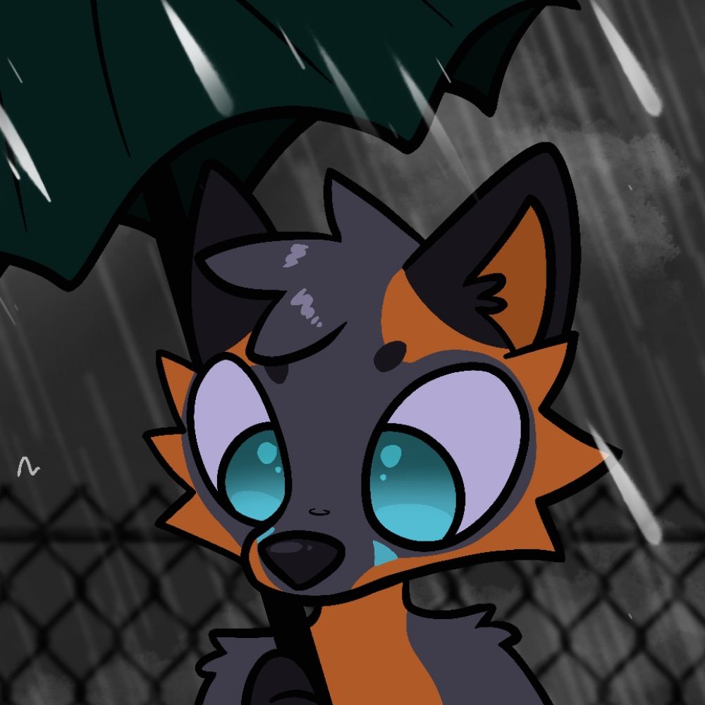 Joop the Fox