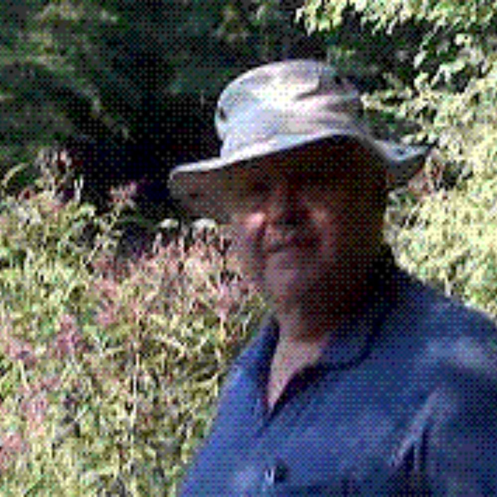 Wayne Rash