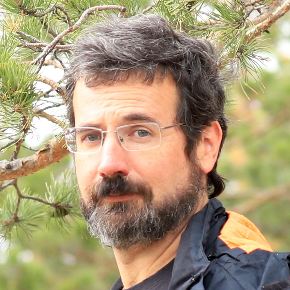 Ramón Plana