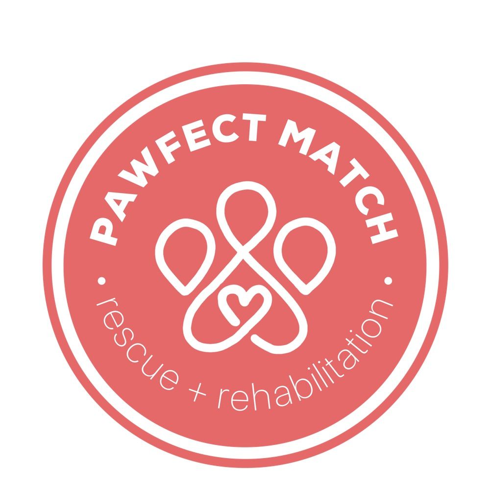 Pawfect Match Rescue & Rehabilitation