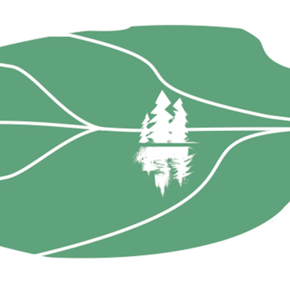 CTT Camp Timber Trails