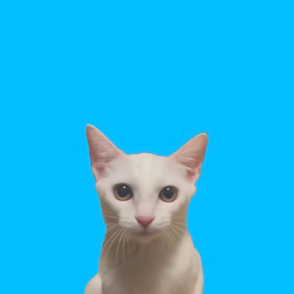 ねむねむ