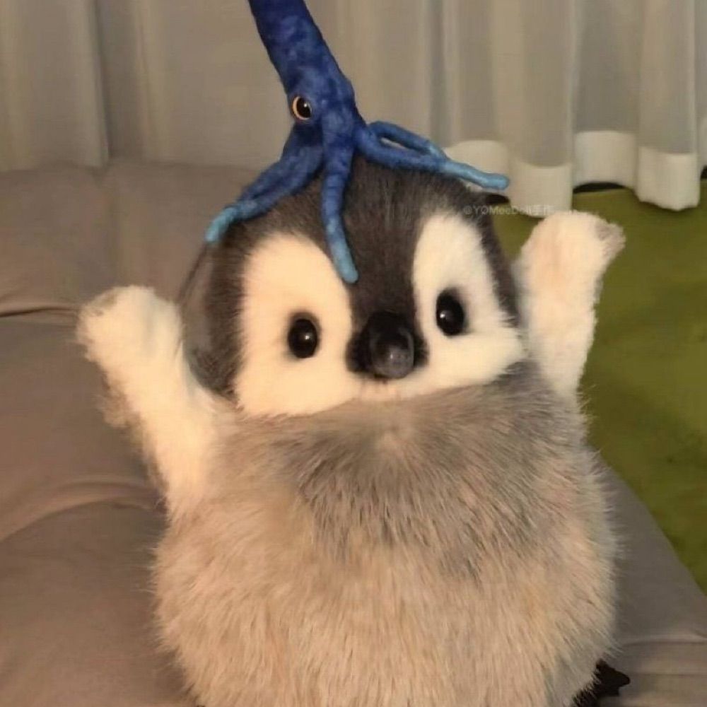 힐뉴