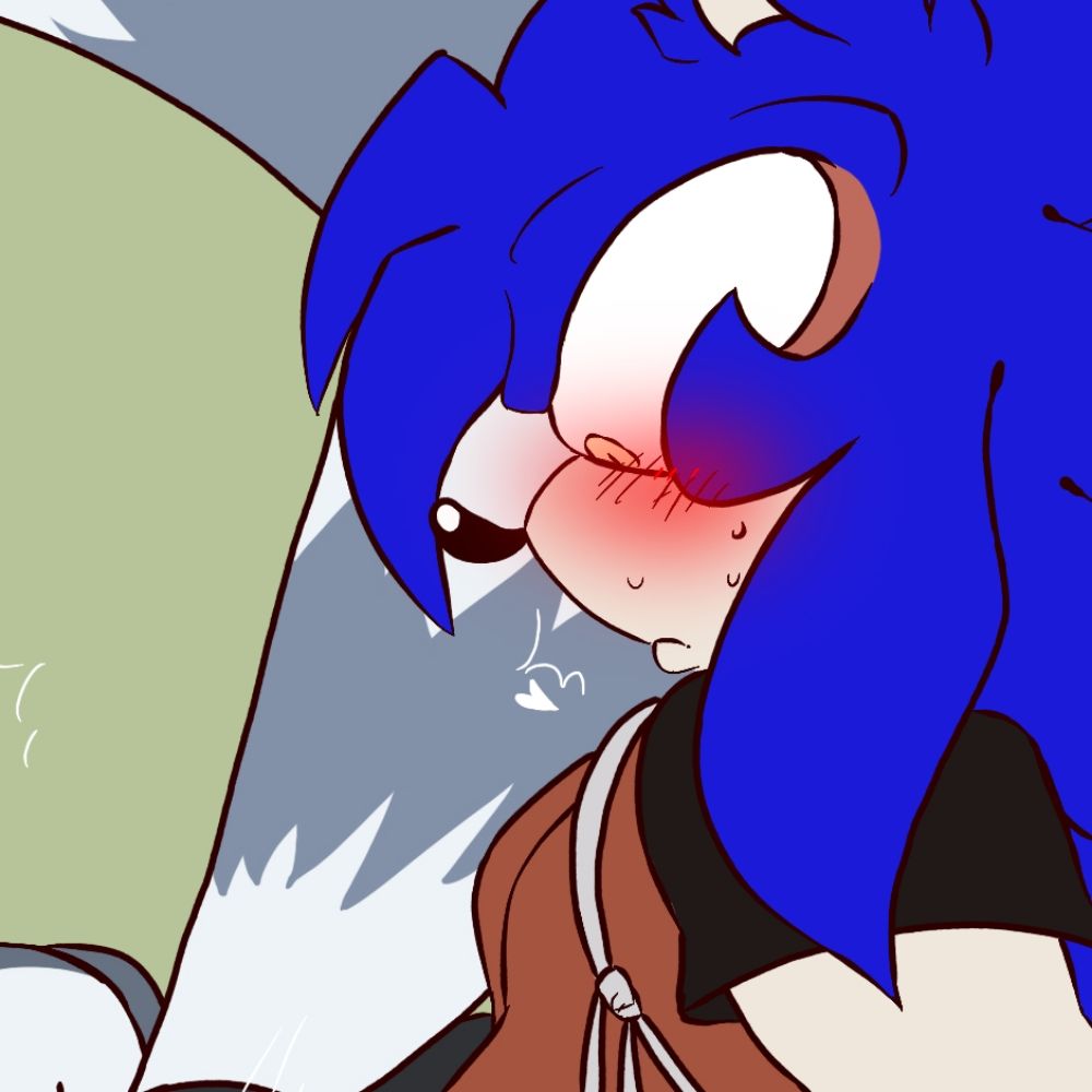 SXSonic (NSFW)