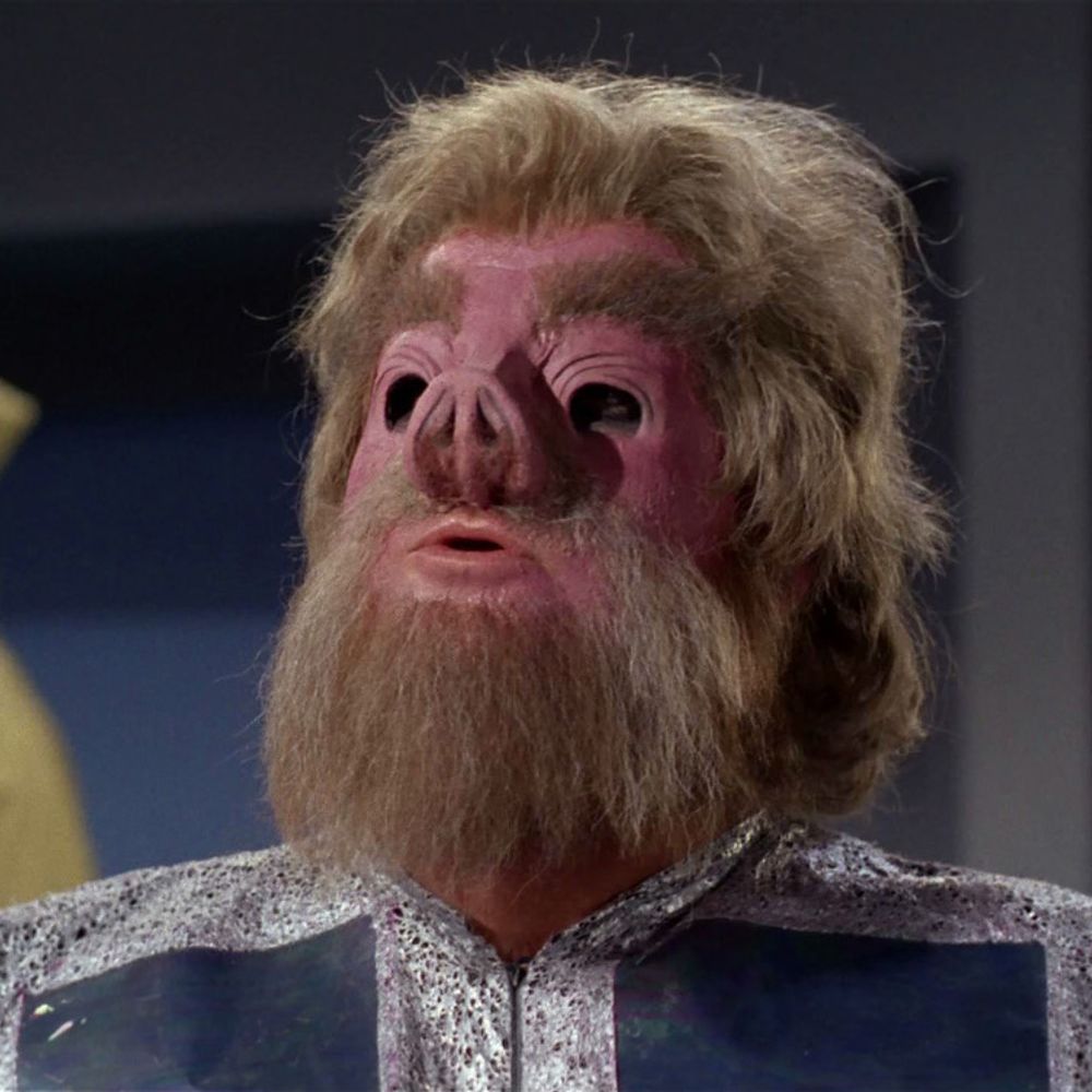 Pig