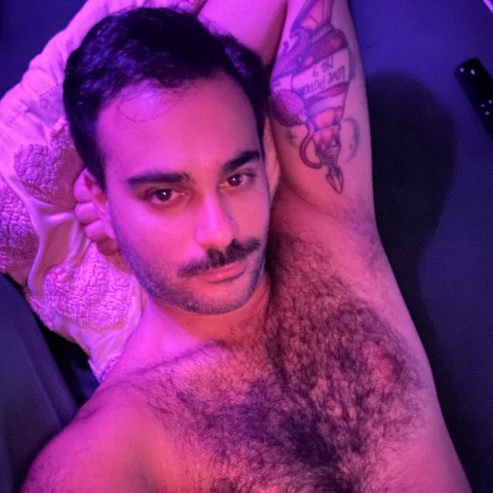 DaVinci’s Nudes