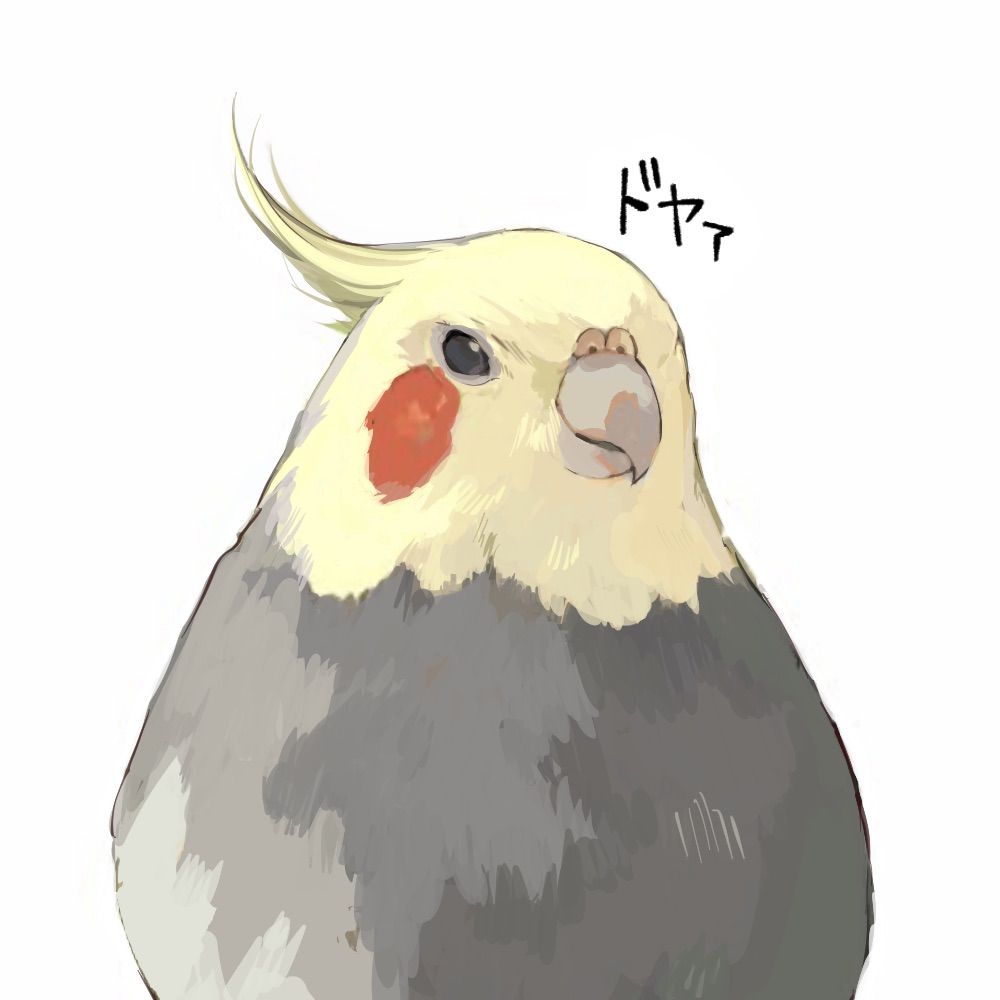 ひがしの/higasino