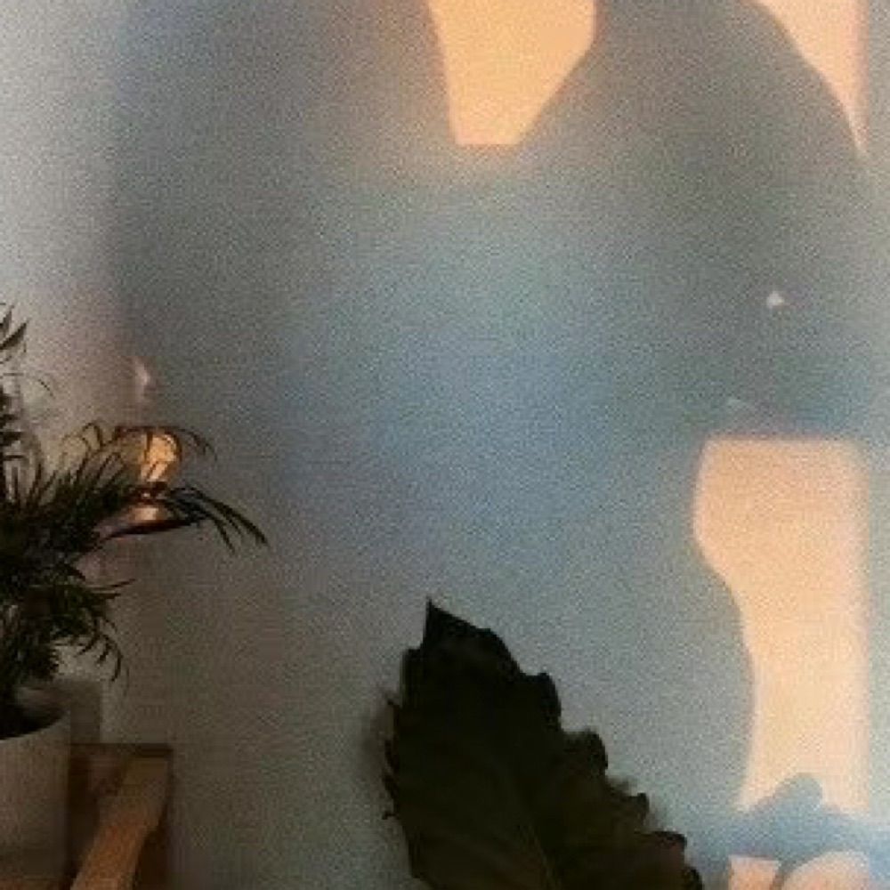 桥边红药